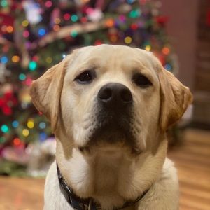 Meet your Posher, Leanne